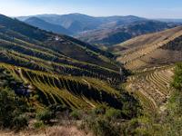Ausblick vom Miradouro da Abelheira zum Douro